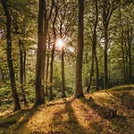 Na Koncu Swiata Stary Zabin