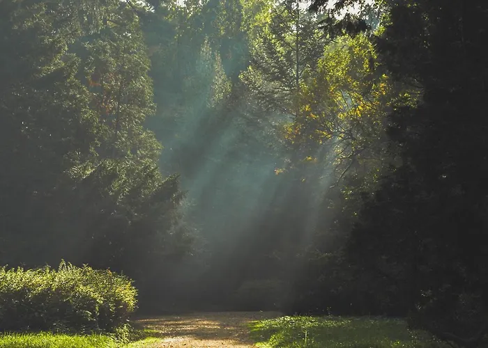 Na Końcu świata * Stary Żabin
