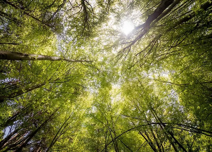 Na Końcu świata Apartament Stary Żabin