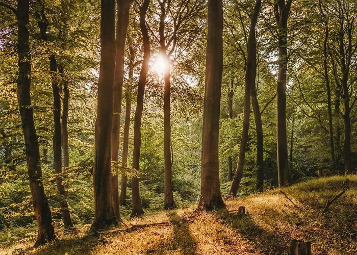 Na Końcu świata Stary Żabin